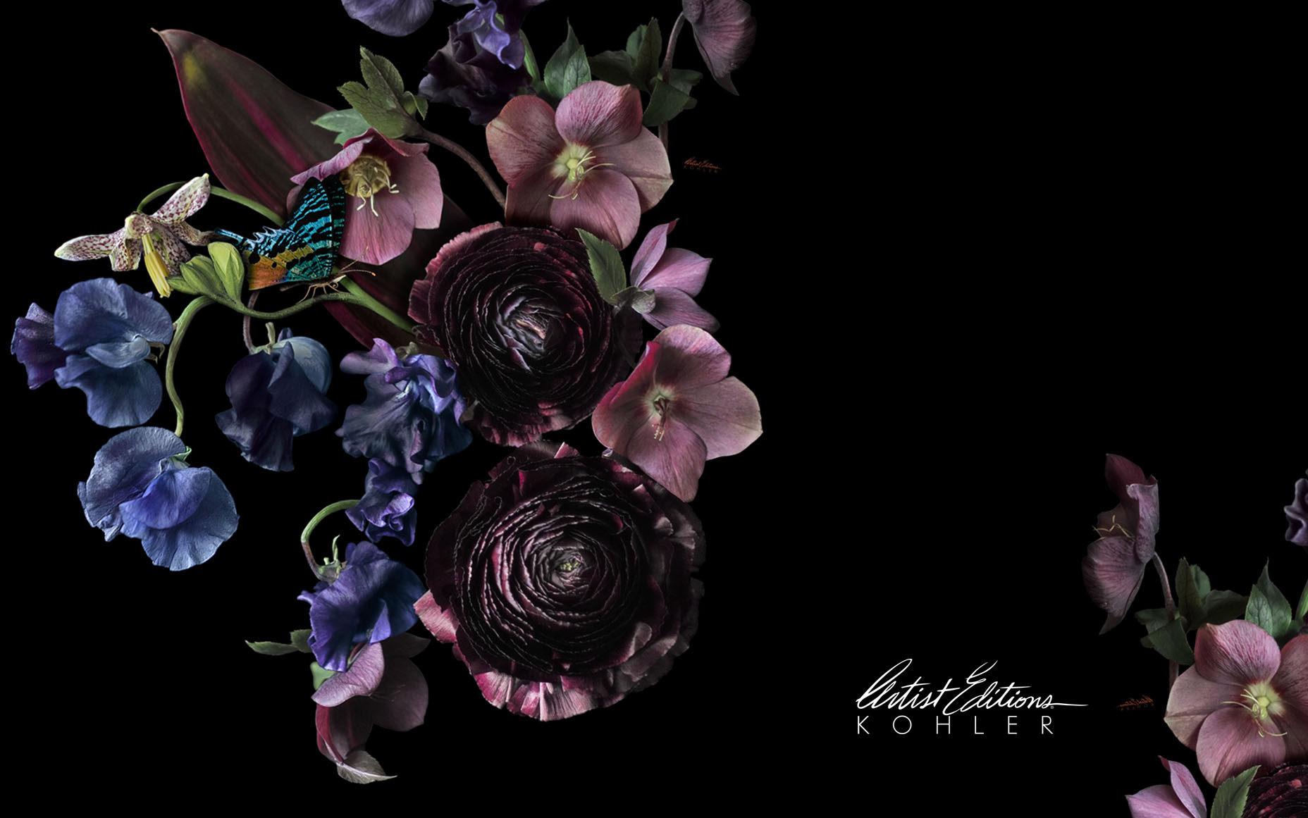 ad14157cd38dc17228e8dda6382c2ecd